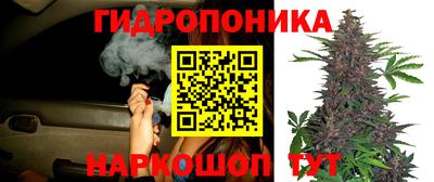 винт Канаш