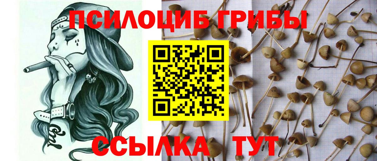 Псилоцибиновые грибы ЛСД  Псилоцибиновые грибы Psilocybine cubensis  Дзержинск  Вход с VPN 